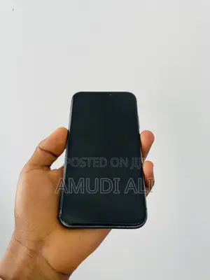 Apple iPhone 11 Pro Max 256 GB Gray