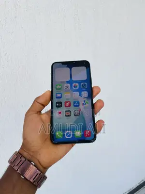 Apple iPhone 11 Pro Max 256 GB Gray