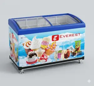 Everest 500 Professional Curved Glass Ice Cream Display Freezer