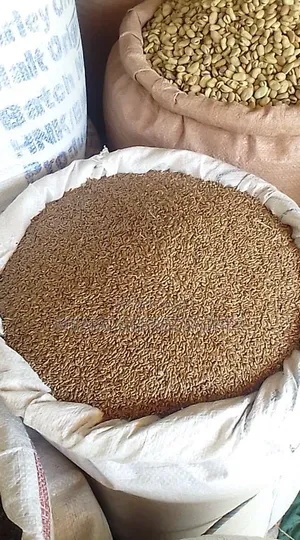 Tigray Flaxseed