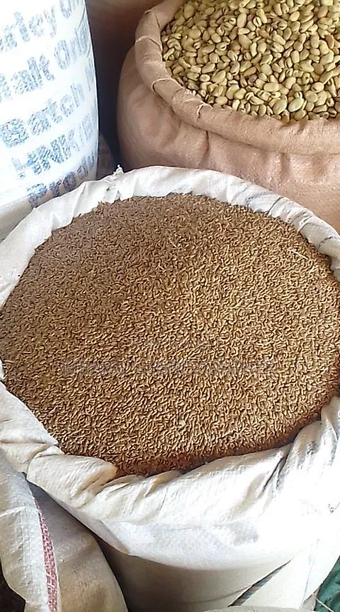 Tigray Flaxseed