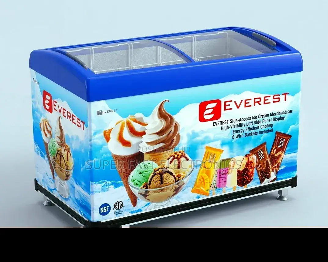Everest 500 Professional Curved Glass Ice Cream Display Freezer