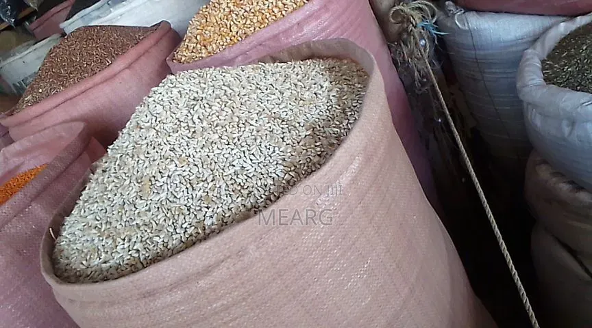 Tigray San Flower