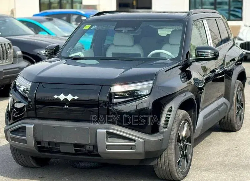 New BYD Leopard 3 2025 Black