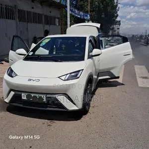 BYD Seagull 2024 White