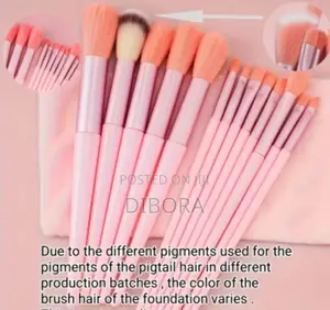 13 Piece of Makeup Brush