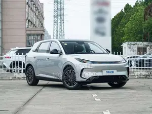 New Arcfox T1 2025 Silver