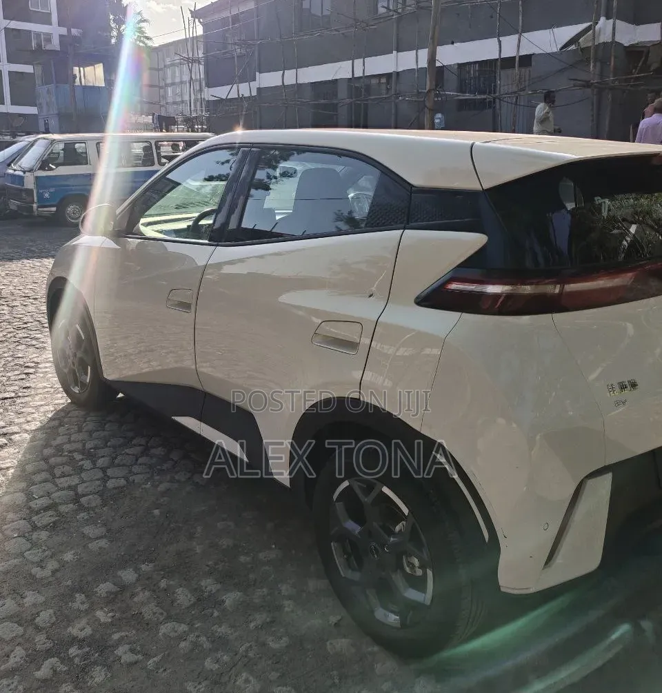 BYD Seagull 2025 Off white