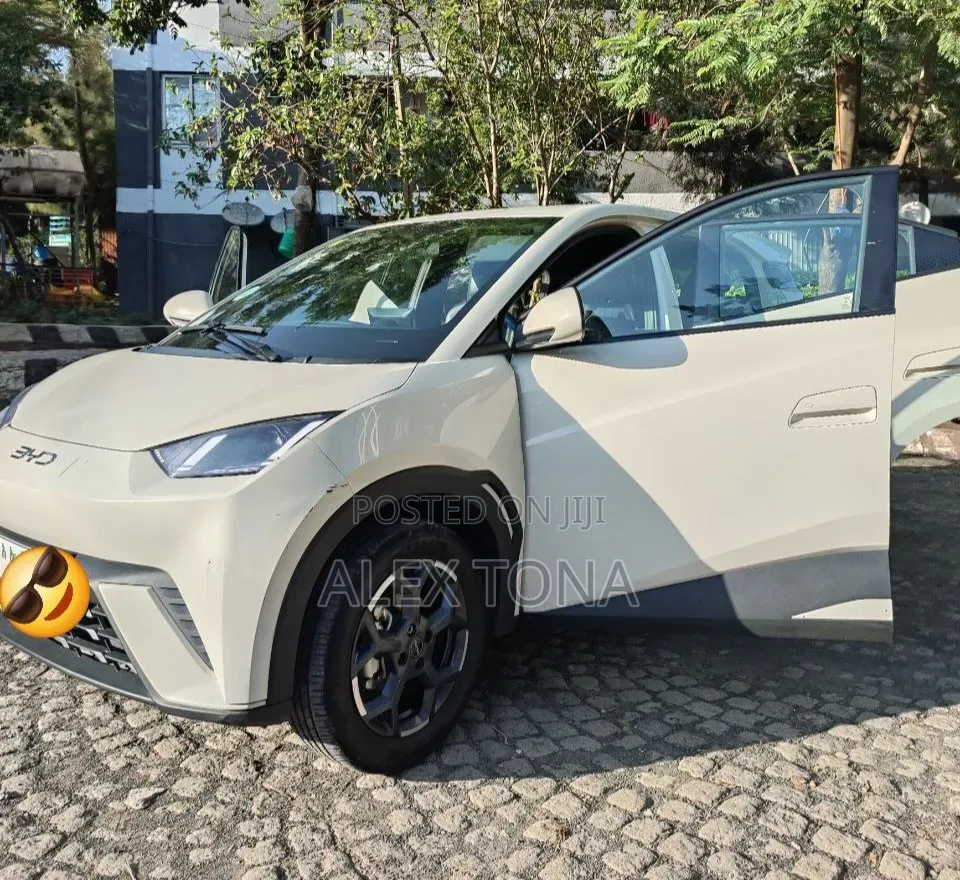 BYD Seagull 2025 Off white