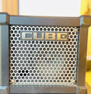Lead / Bass Amp