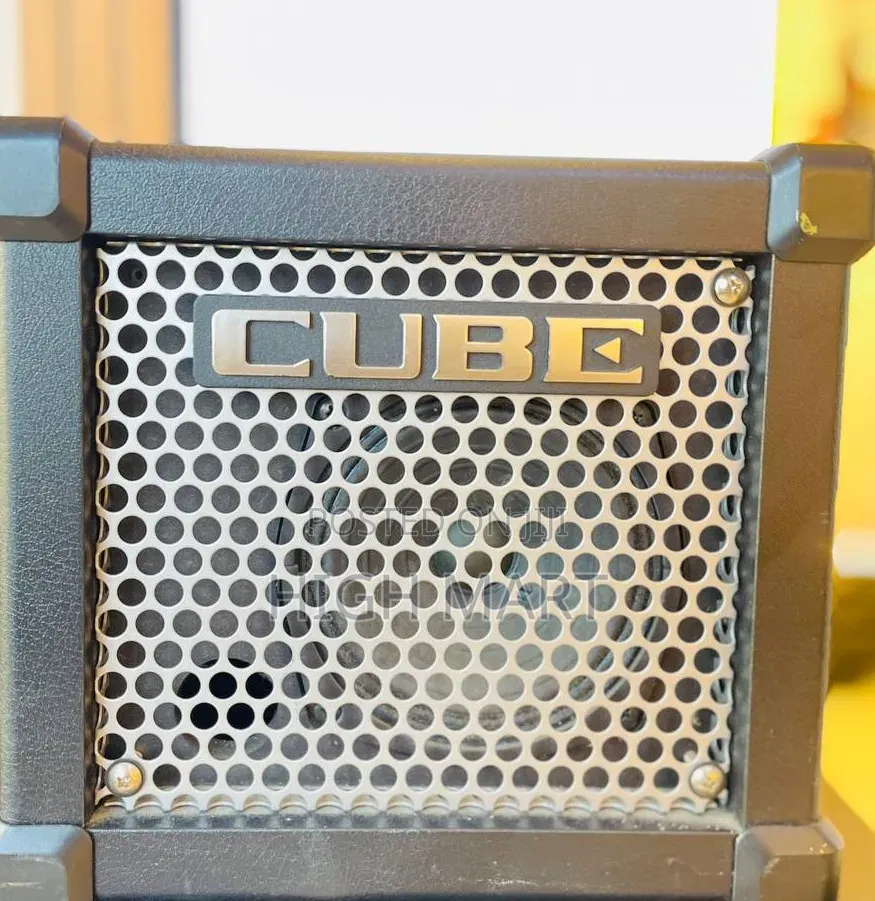 Lead / Bass Amp