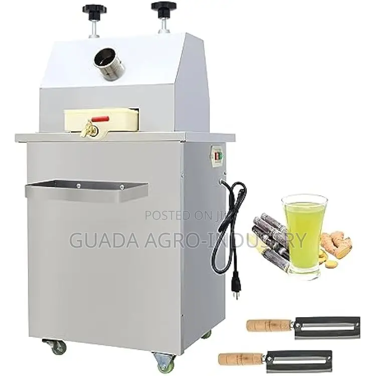 Sugar Cane Juicer