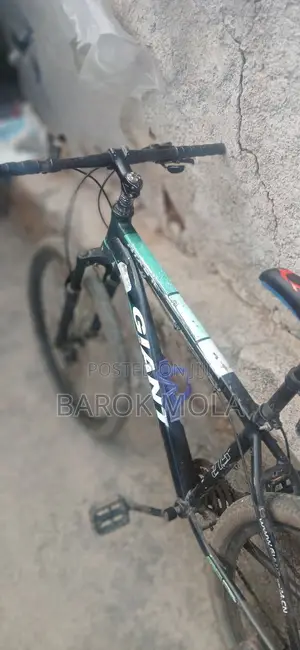 Bicycle Giant