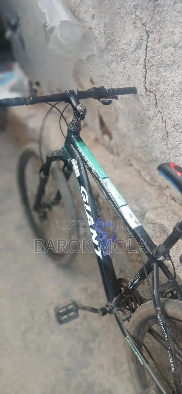 Bicycle Giant