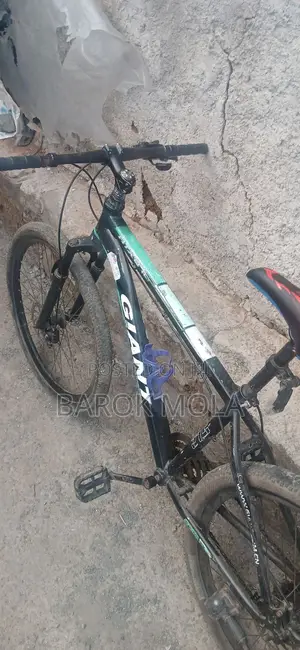 Bicycle Giant