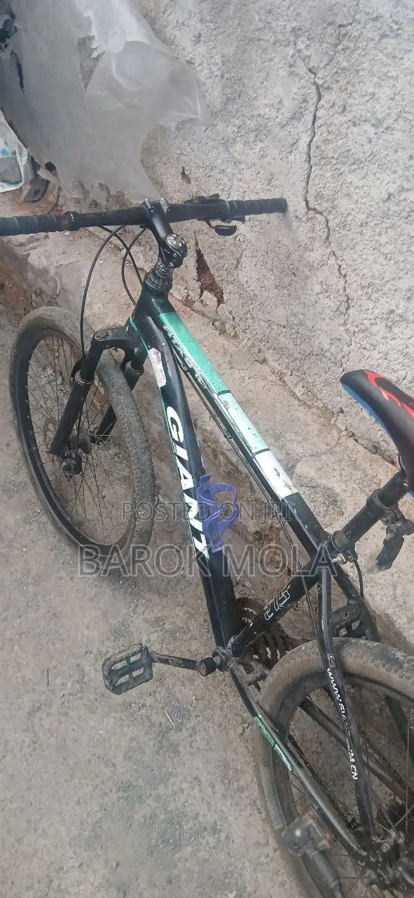 Bicycle Giant