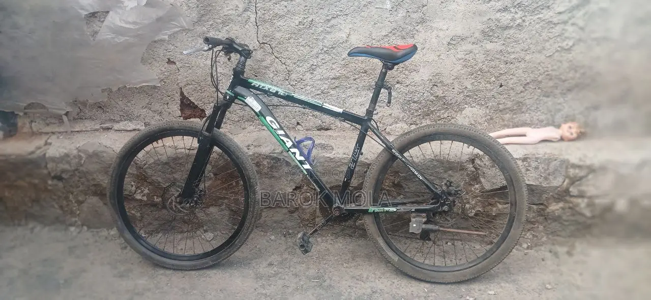 Bicycle Giant