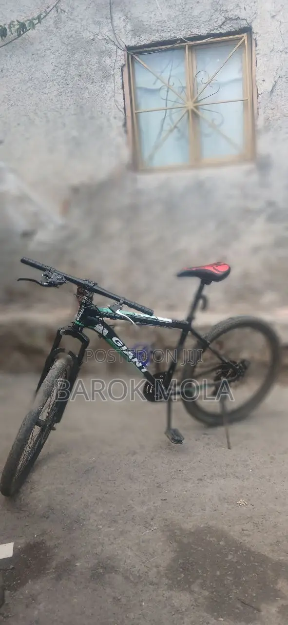Bicycle Giant