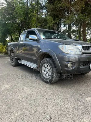 Toyota Hilux 2010 Gray