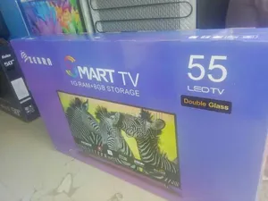 Zebra 55inch Double Glass Tv