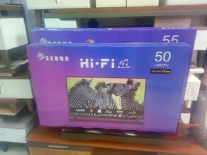 Zebra 55inch Double Glass Tv