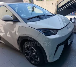 BYD Seagull 2025 White