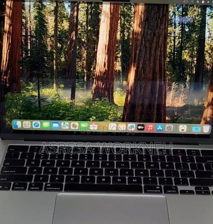 New Laptop Apple MacBook Air 2025 M4 13-inch 16GB SSD 256GB