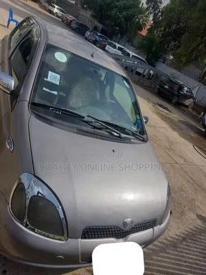 Toyota Vitz 1.3 AWD 3dr 2001 Gray