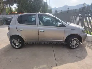 Toyota Vitz 1.3 AWD 3dr 2001 Gray