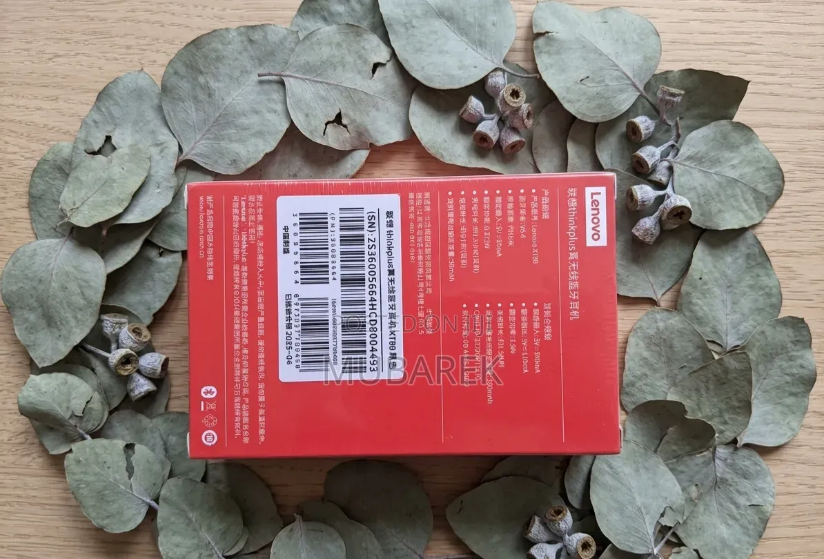 Limited Stock: Lenovo Thinkplus Bluetooth 5.3 Sport Earbuds