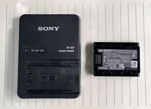 Sony Alpha 7 Mark 4/3 Battery and Charger
