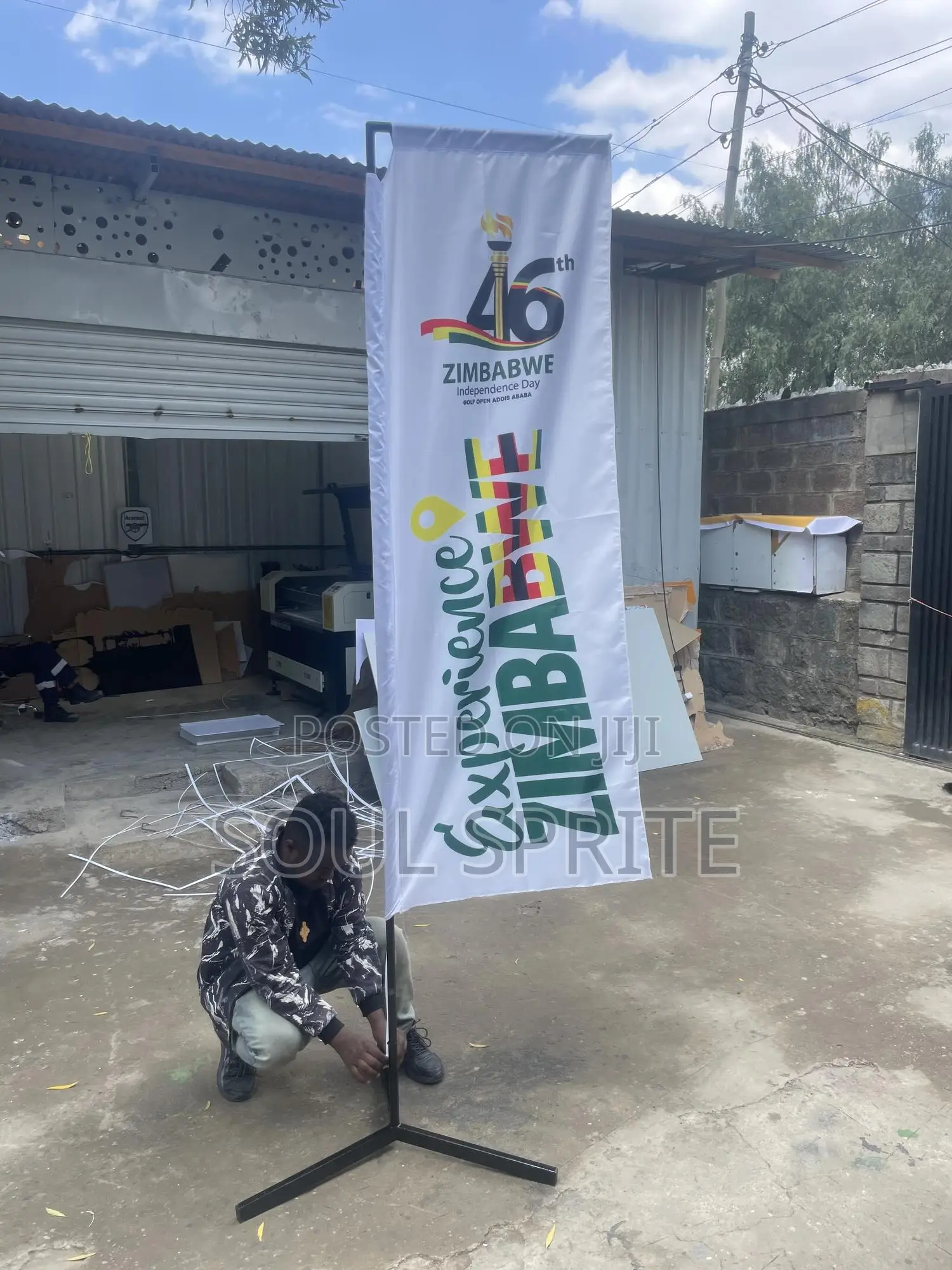 Tear Drop and Telescopic Flag Prints
