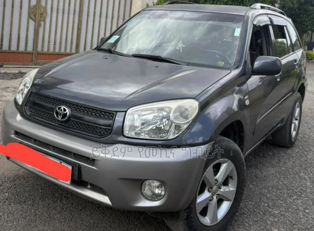 Toyota RAV4 1.8 2004 Gray