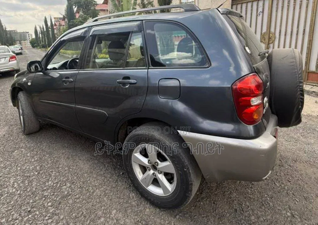 Toyota RAV4 1.8 2004 Gray