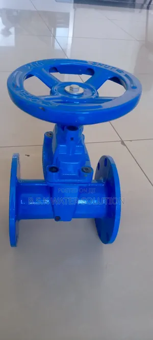 Flanged Gate Valve