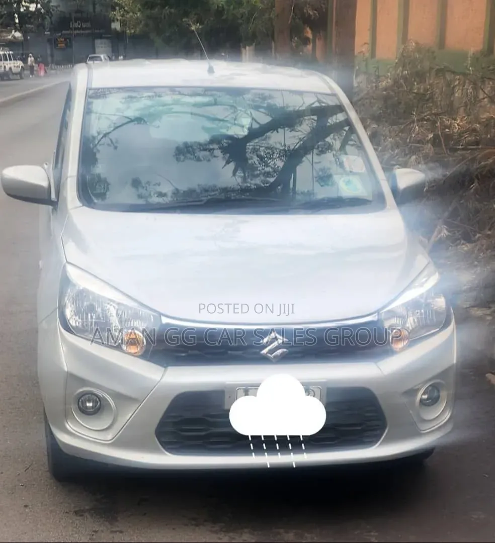 Suzuki Celerio 2020 Silver