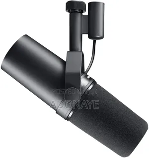 Microphone ( Shure Sm7b )