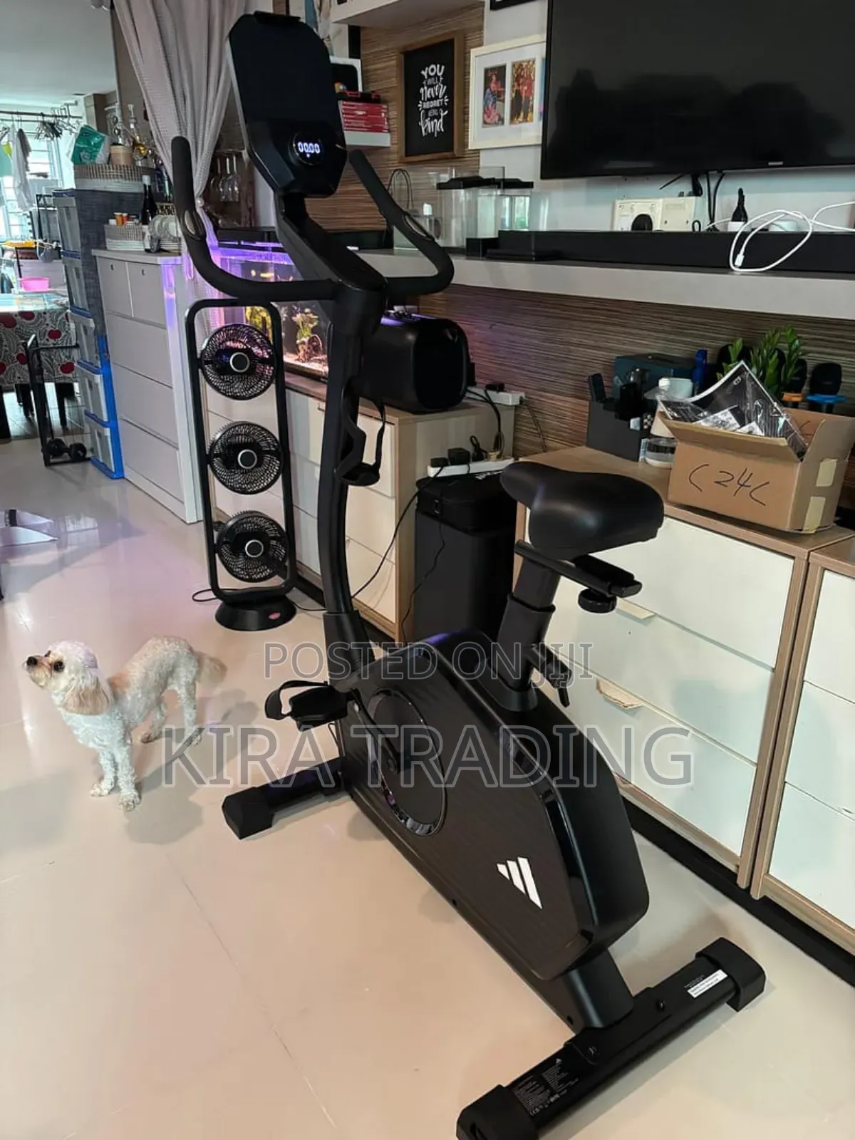 Adidas Ye Sport Bike