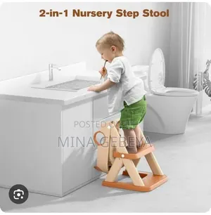 Potty Training Seat