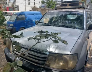 Toyota Land Cruiser 2004 Silver