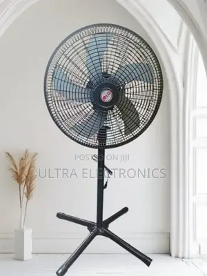 Cooling Fan Lg 18 -inch Standing Floor Fan With A Black I