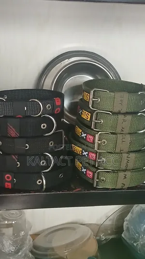 Heavy Duty Metal Buckled Collar