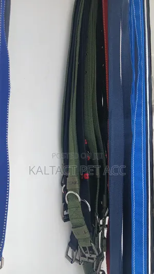Heavy Duty Metal Buckled Collar