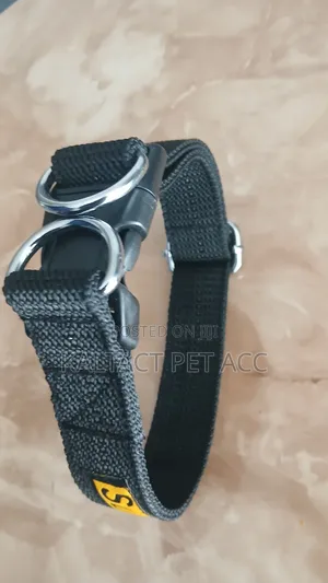Dog Collars and Leash