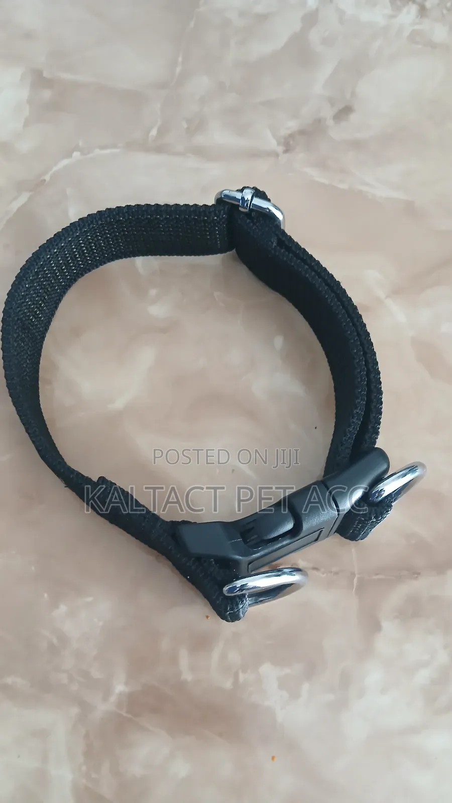 Dog Collars and Leash