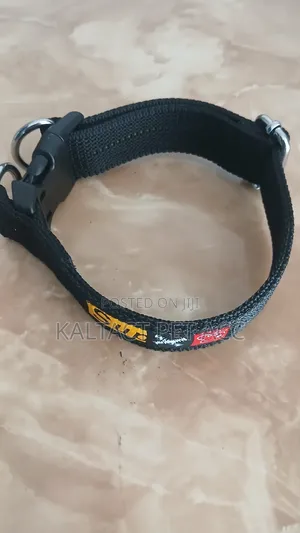 Dog Collars and Leash