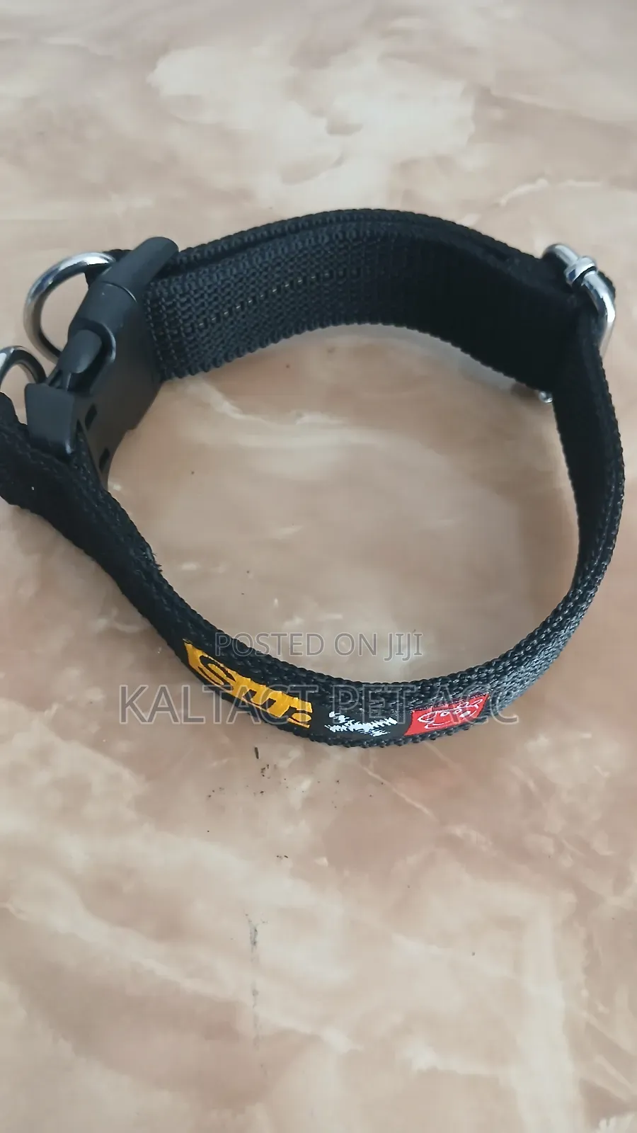 Dog Collars and Leash
