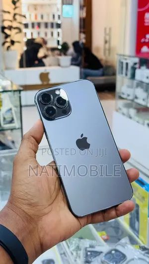 Apple iPhone 13 Pro Max 256 GB Gray