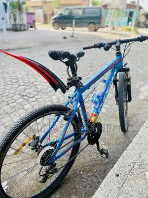 Bicycle Phonex