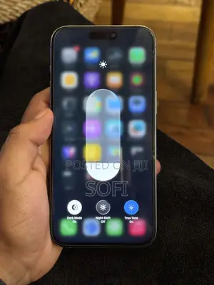 Apple iPhone 15 Pro Max 256 GB Silver